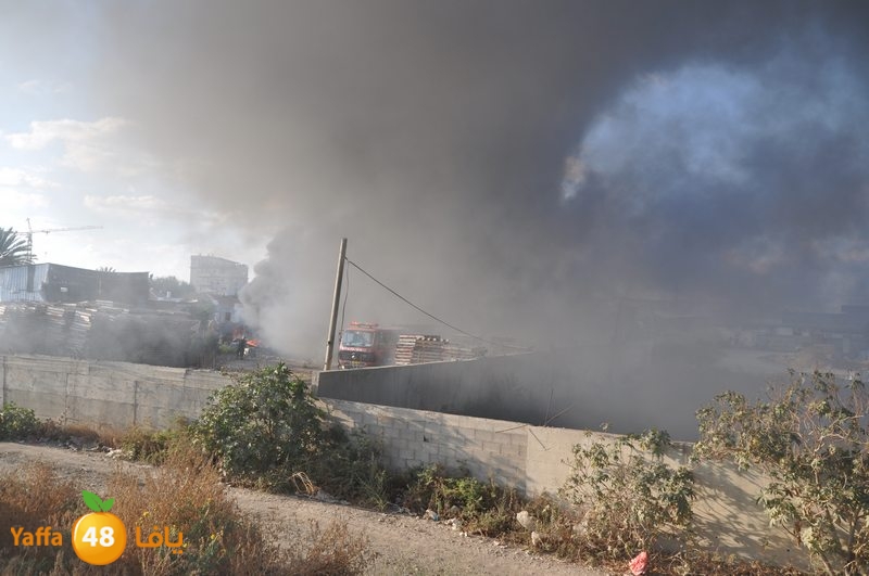 fire kargalsaj (6).JPG